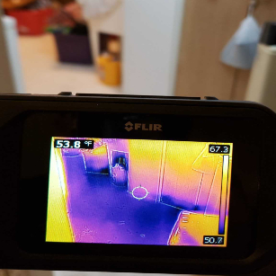 mold removal