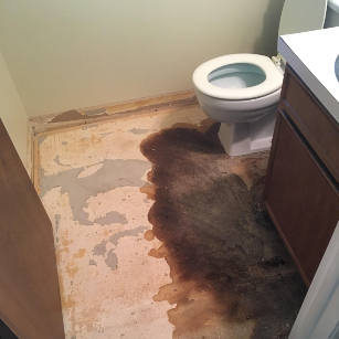 sewage cleanup